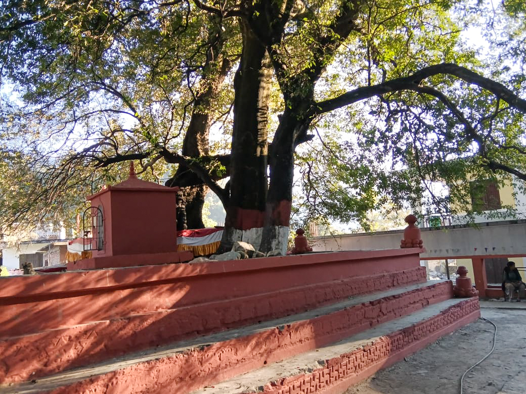 सुर्मादेवी मन्दिरमा गरियाे सरसफाइ र रंगरोगन  (तस्विरहरु)